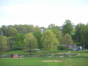 pond-overview